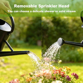 ShopWithGreen Watering Can in galvanized steel, rust-resistant and durable for years.