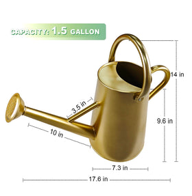 ShopWithGreen gold watering can with dual handles for easy grip