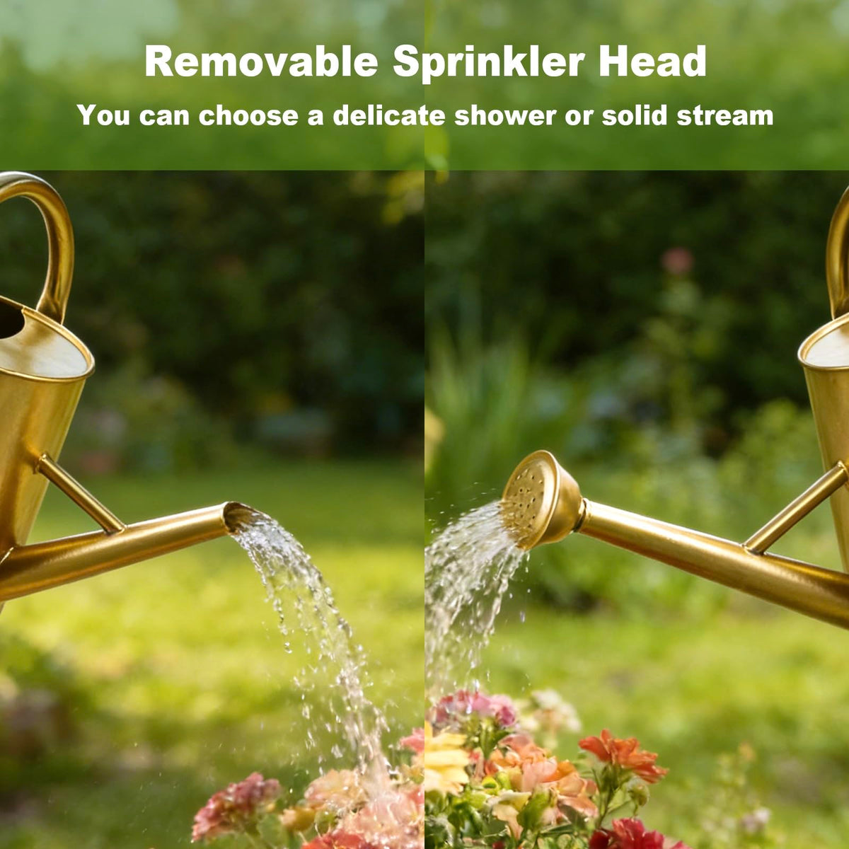 ShopWithGreen rosette-spout distributes water evenly for plants