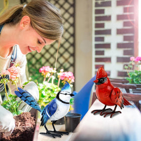 Shorayn cardinal and blue jay decor enhances curb appeal.
