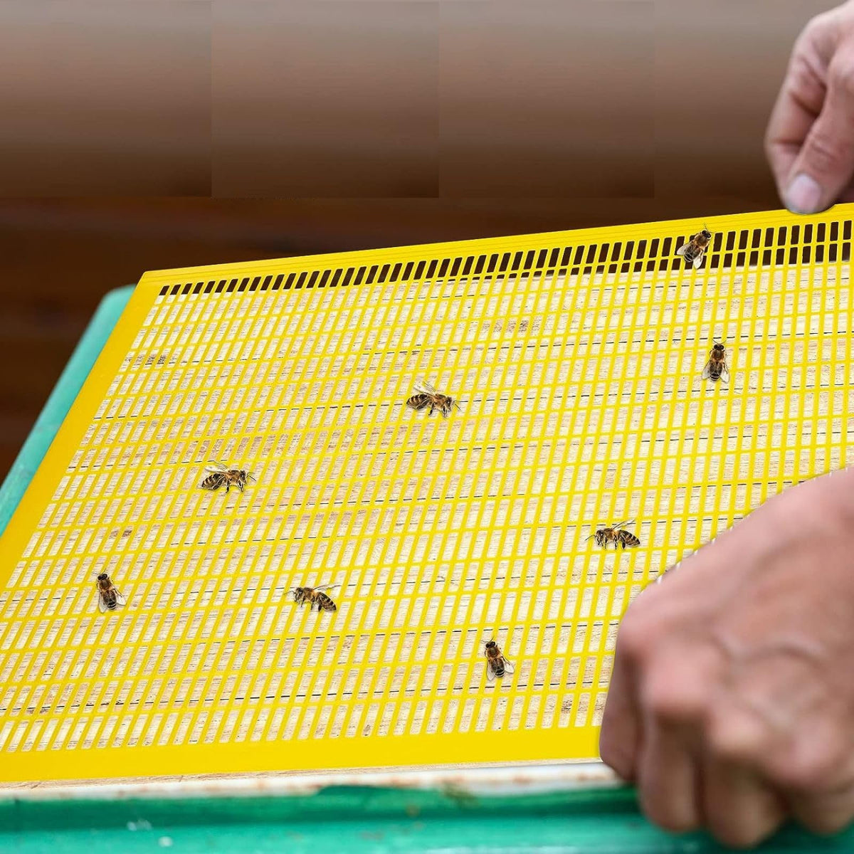 ShouRong 10-frame excluder set supports streamlined honey harvesting