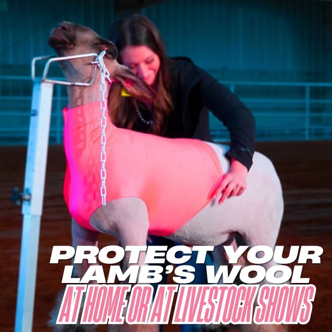Show Pro Pink Lamb Tube folded for storage before transport.