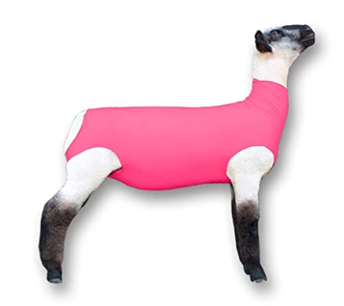 Show Pro Lamb Tube pink medium fit contours softly to protect wool at shows.