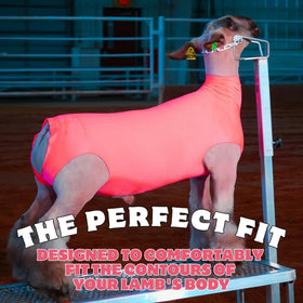 Show Pro Lamb Tube pink four-way stretch supports durable wear for lambs.
