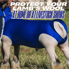 Showpro Outfitting Champions lamb tube worn by lamb for balanced fit and wool protection