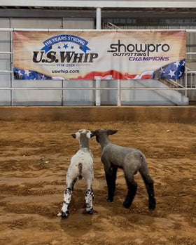 Showpro Outfitting Champions size large accommodates 130-160 lb lambs for confident wear
