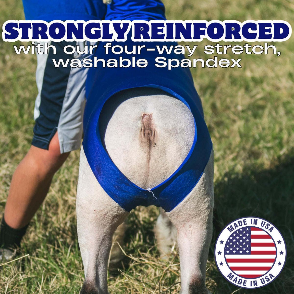 Showpro Outfitting Champions size medium for lambs 110-140 lbs during shows