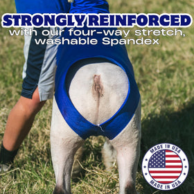 Showpro Outfitting Champions size medium for lambs 110-140 lbs during shows