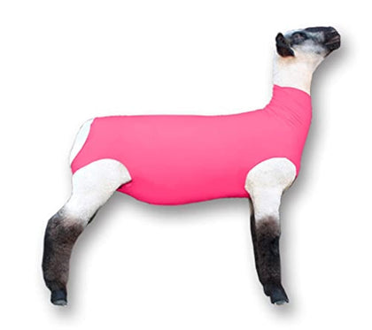 Show Pro Pink Lamb Tube worn on a show lamb to protect wool during competition.