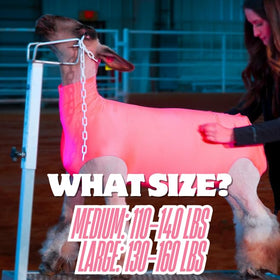 Show Pro Pink Lamb Tube fits large lambs 130-160 lbs at shows.