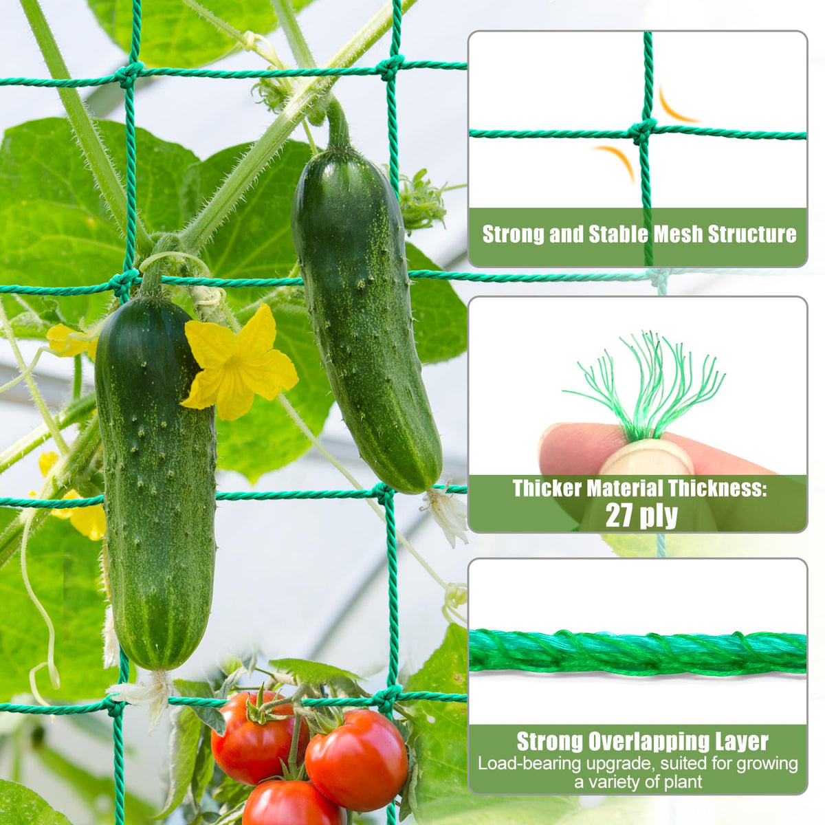 SHPPETONB 4x4 inch mesh guides vines without crowding leaves.