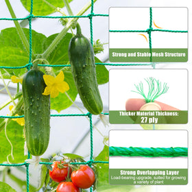 SHPPETONB 4x4 inch mesh guides vines without crowding leaves.