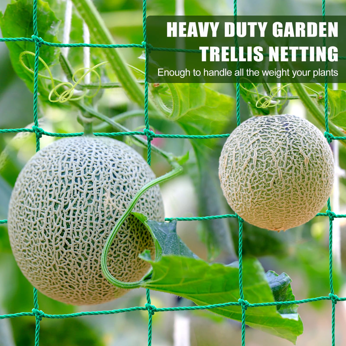 SHPPETONB climbing plants netting promotes airflow and sun exposure.