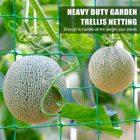 SHPPETONB climbing plants netting promotes airflow and sun exposure.