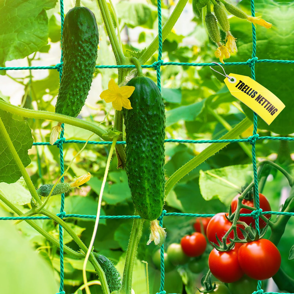 SHPPETONB garden trellis netting supports climbing plants for better air circulation.