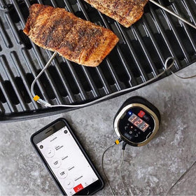 Universal 2.5mm plug compatibility with iGrill and Smart Grilling
