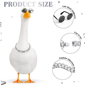 Shyyween black sunglasses with resin lenses complete the retro goose look