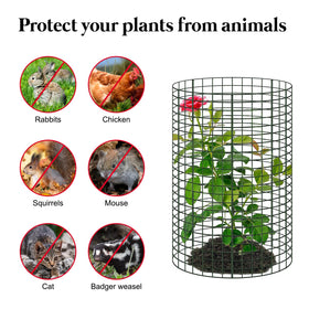 Sibosen DIY cage assembly with cylindrical layout for herbs