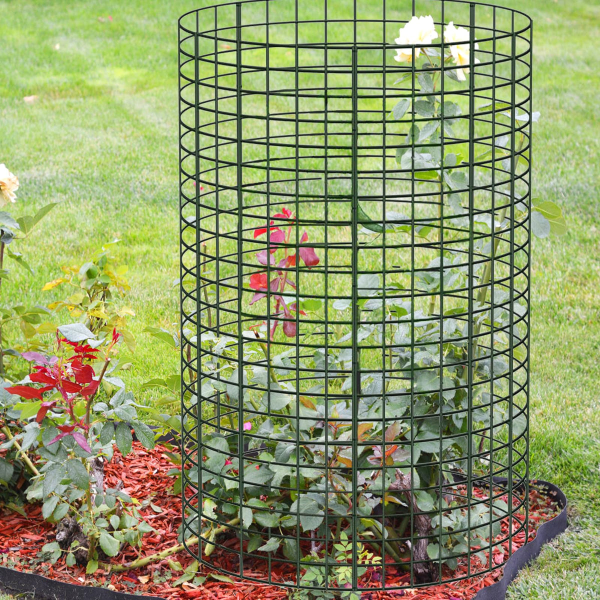 Sibosen easy garden protection setup for larger plants