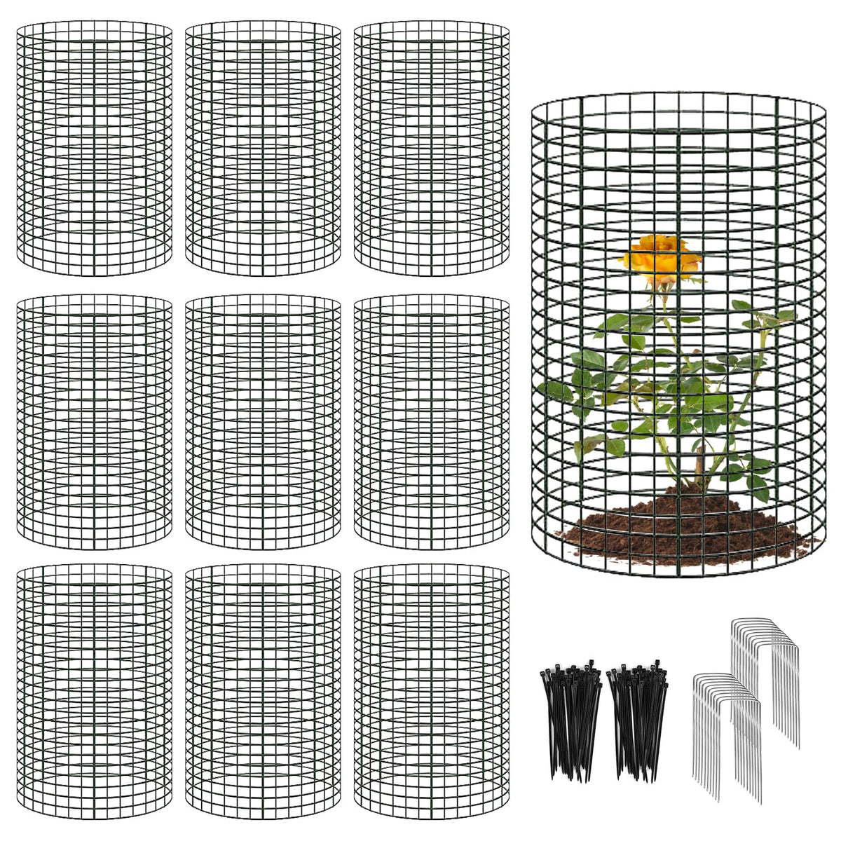 Sibosen large wire plant protector with 24x12 cage protecting seedlings from rabbits