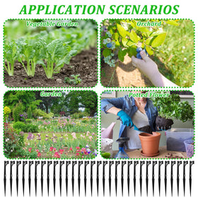 Ideal for yards, vegetable plots, and borders in gardens.