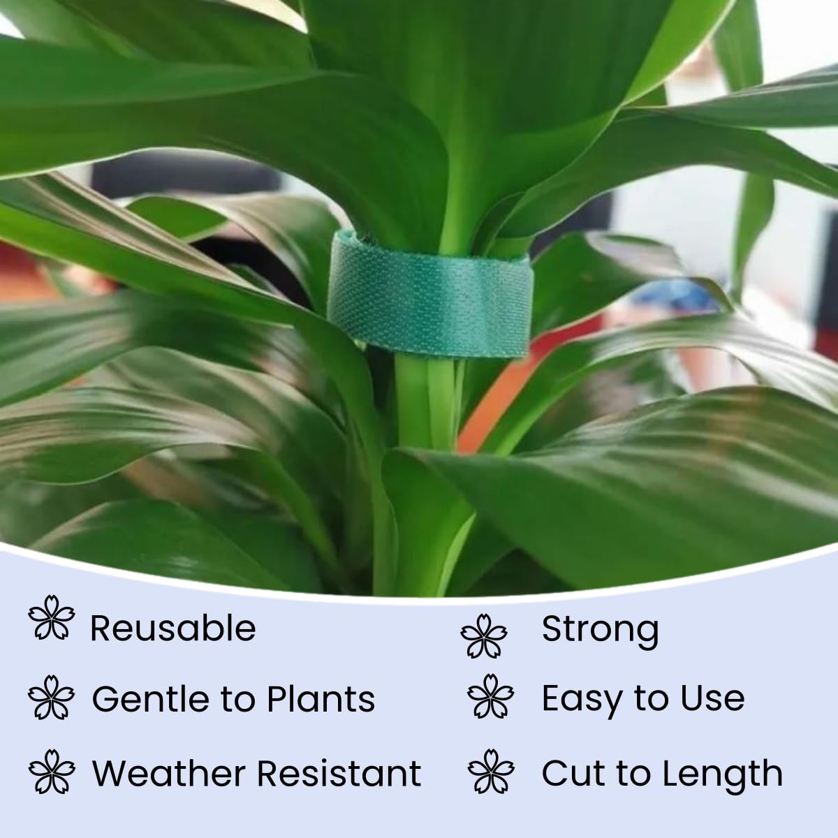 SICCOMA gentle plant support strap helping vines climb a trellis