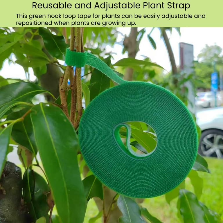 SICCOMA ties withstand wind and rain while keeping plants in place