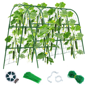 Sidefusi cucumber trellis for raised beds keeps vines elevated and prevents soil contact.