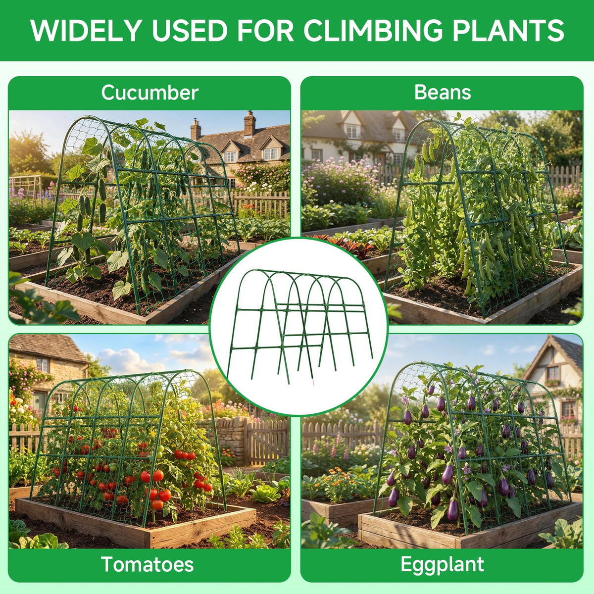 Sidefusi ready-to-plant kit lets vines start training right away.