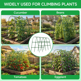 Sidefusi ready-to-plant kit lets vines start training right away.