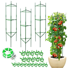 Sidefusi tomato cage 48-inch height supports tall tomato plants with sturdy structure.