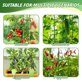 Sidefusi tomato cage plant ties kit keeps vines secure as they grow.