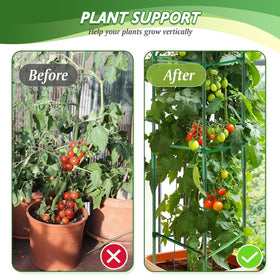 Sidefusi tomato cage vertical growth support enhances garden space and yields.
