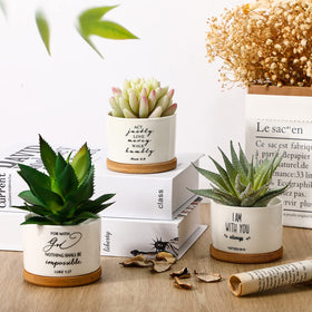 Sieral Bible verse succulent pot on patio or balcony decor idea.