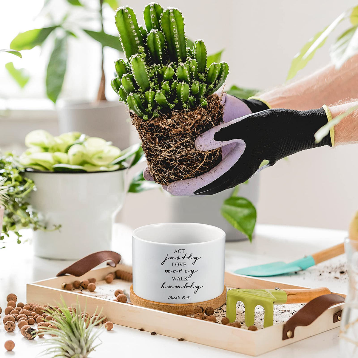 Sieral Bible verse succulent pot display featuring six styles for versatile styling.