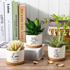 Sieral Bible verse succulent pot on table decor, perfect for living rooms.