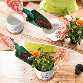 Sieral Bible verse succulent pot white closeup bamboo tray detail, practical and clean.