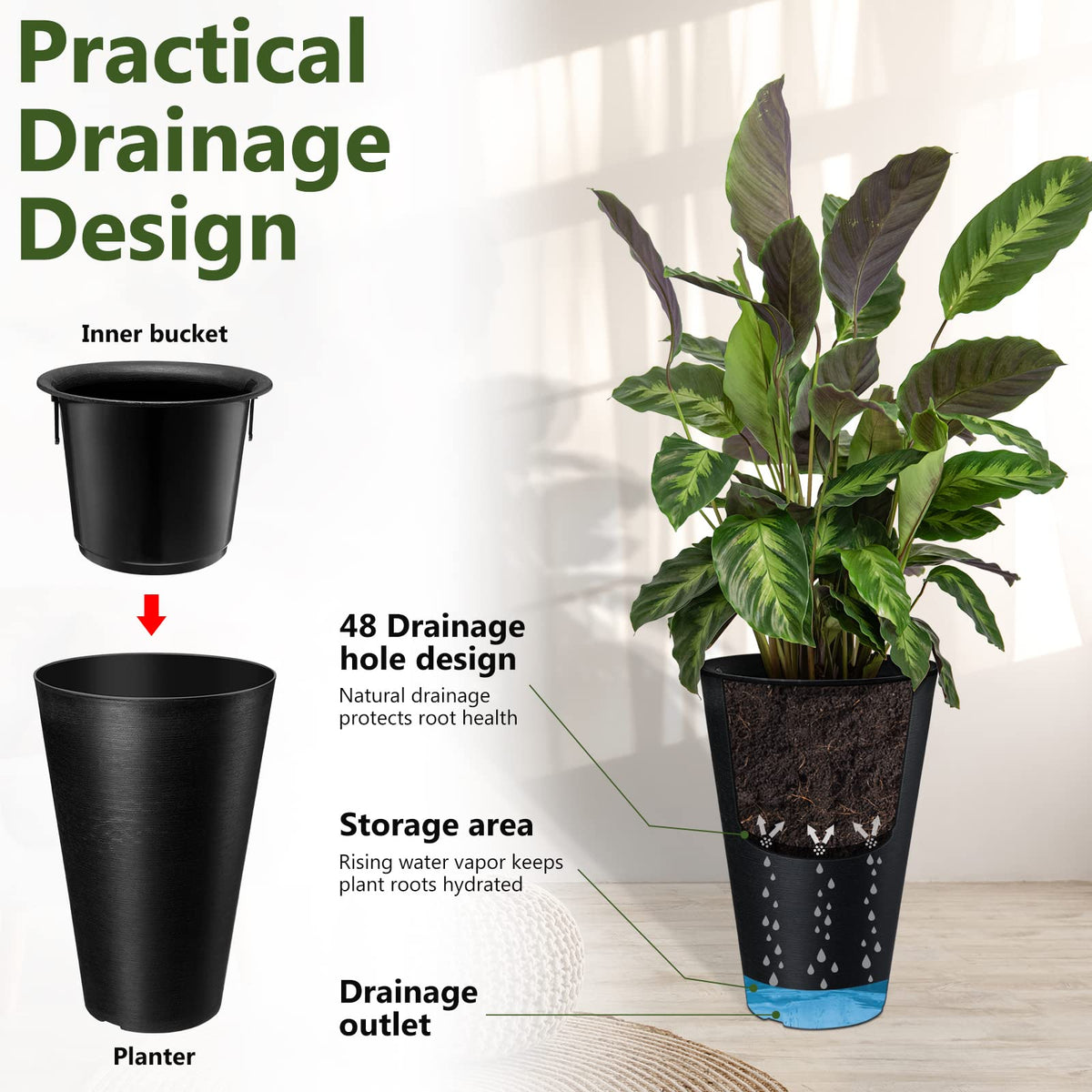 Sieral drainage holes promote healthy watering and root aeration