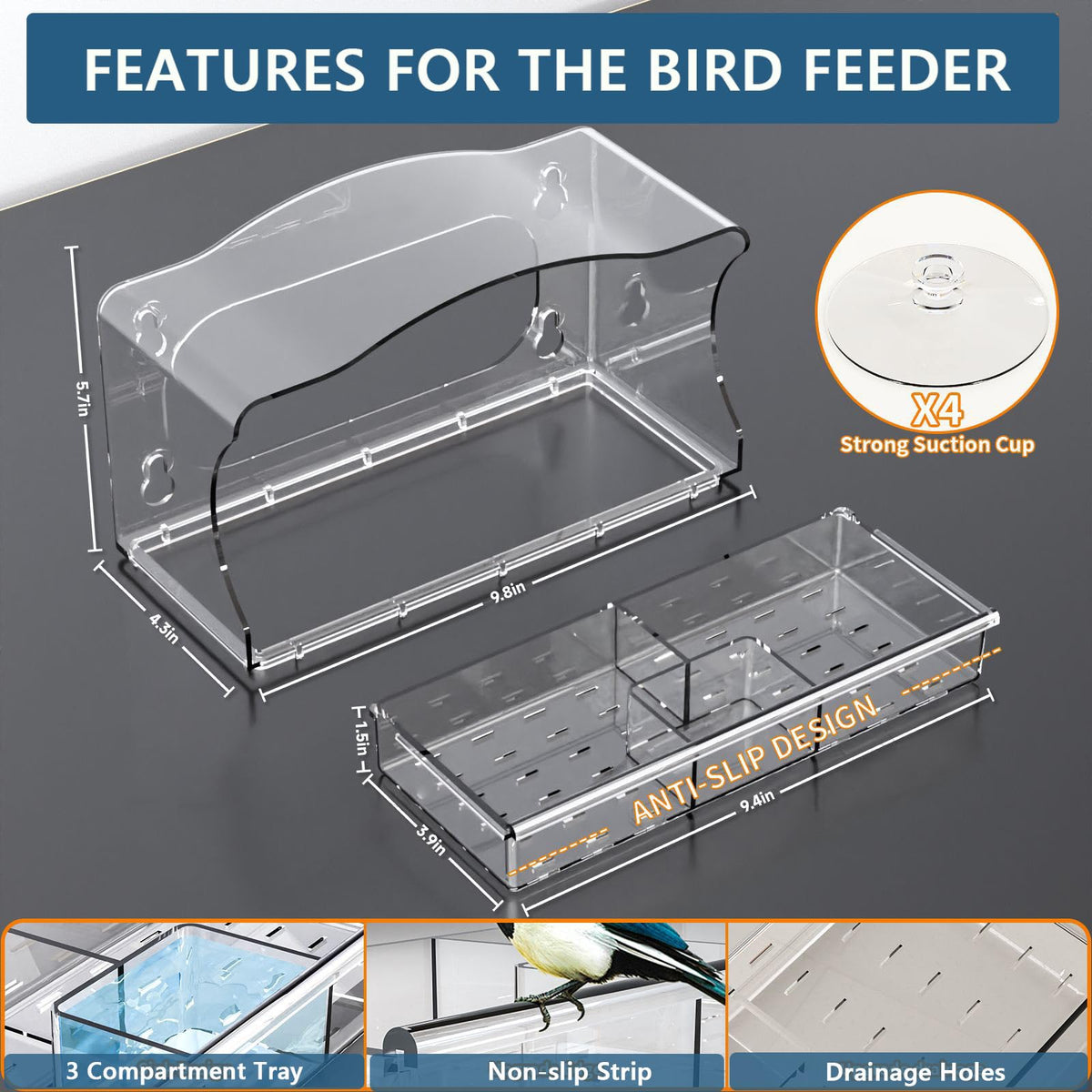 SIGOWING removable three-tray design lets you separate seed types for diverse visitors