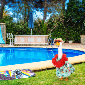 Silicherry sunglasses complete the goose costume for outdoor displays