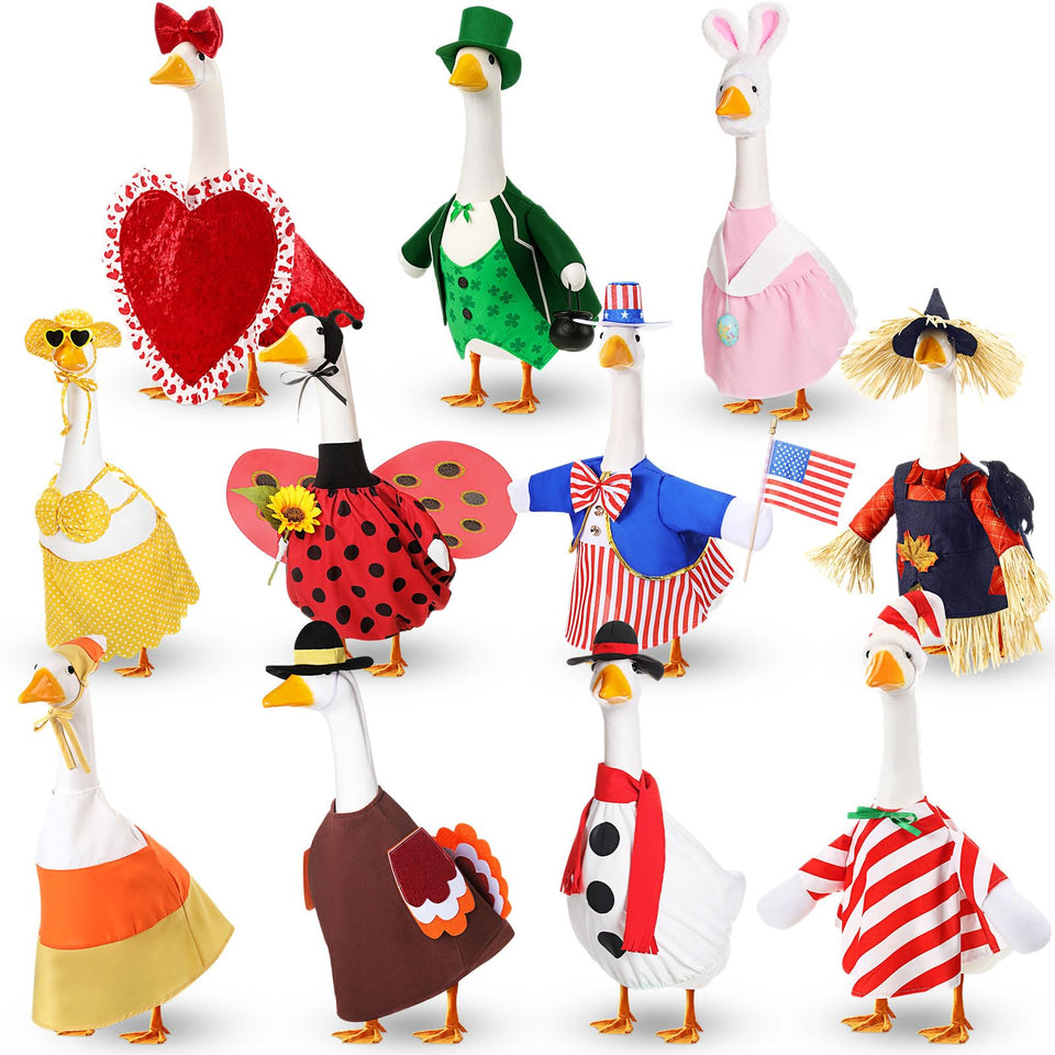 Silicherry valentines day goose outfit for porch, adds romantic curb appeal.