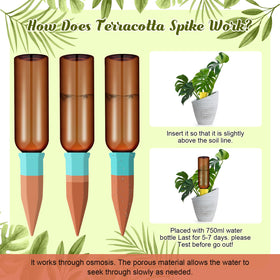 In-soil insertion ensures gradual moisture release for healthy roots.
