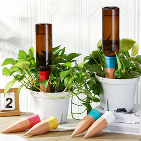Suitable for indoor, outdoor, or balcony plants and small trees.