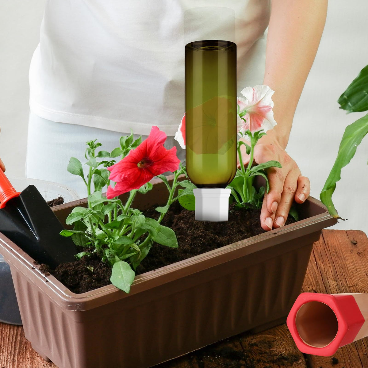 SiliFine plant watering in action for indoor greenery
