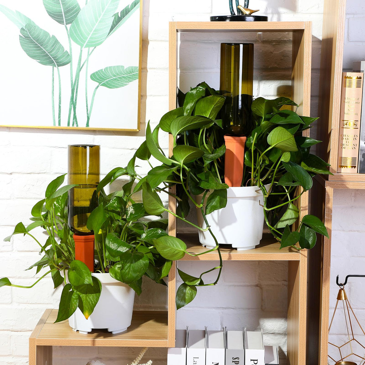 SiliFine plant watering insert offers easy refills for vacation care