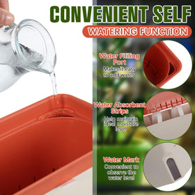 SiliFine rectangular herb planter for indoor and outdoor use.