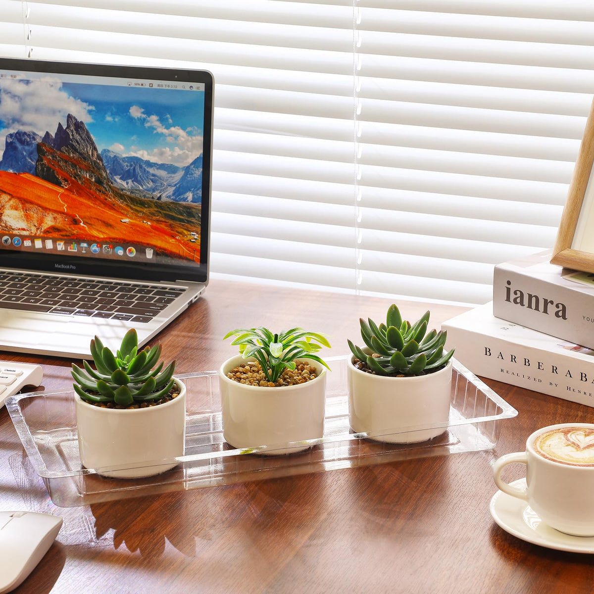 SiliFine rectangular saucer transparent keeps pots stylish while preventing soil spills.