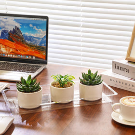 SiliFine rectangular saucer transparent keeps pots stylish while preventing soil spills.