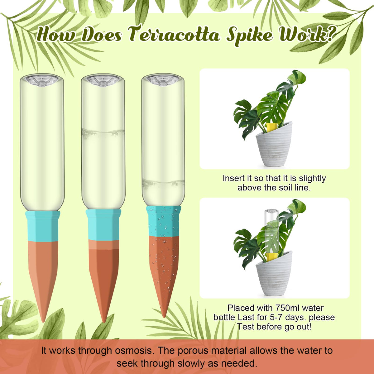 Silifine green spike keeps potted plants evenly moist