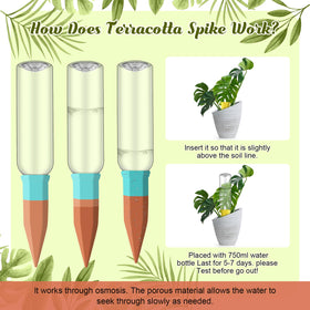 Silifine green spike keeps potted plants evenly moist